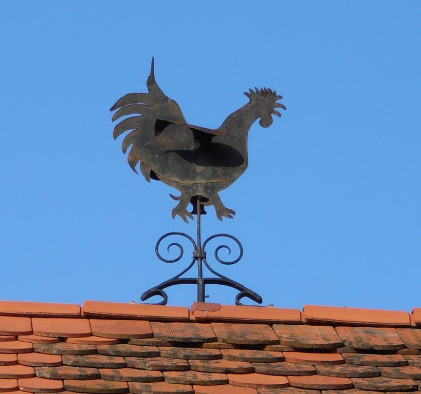 Villa Weingut Rupp Kitzeck im Sausal Exterior foto