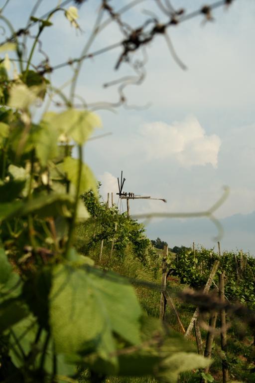 Villa Weingut Rupp Kitzeck im Sausal Exterior foto