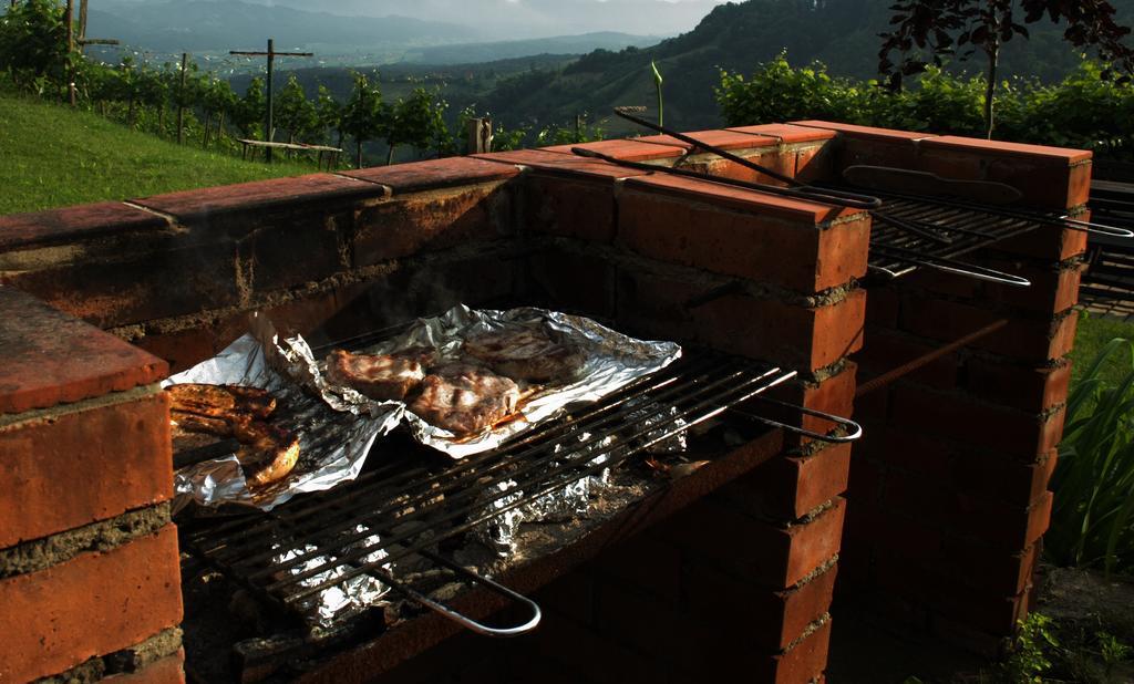 Villa Weingut Rupp Kitzeck im Sausal Exterior foto