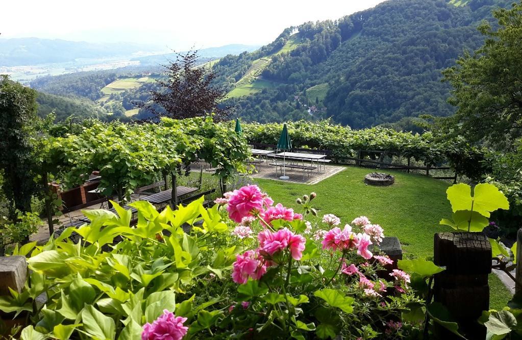 Villa Weingut Rupp Kitzeck im Sausal Exterior foto