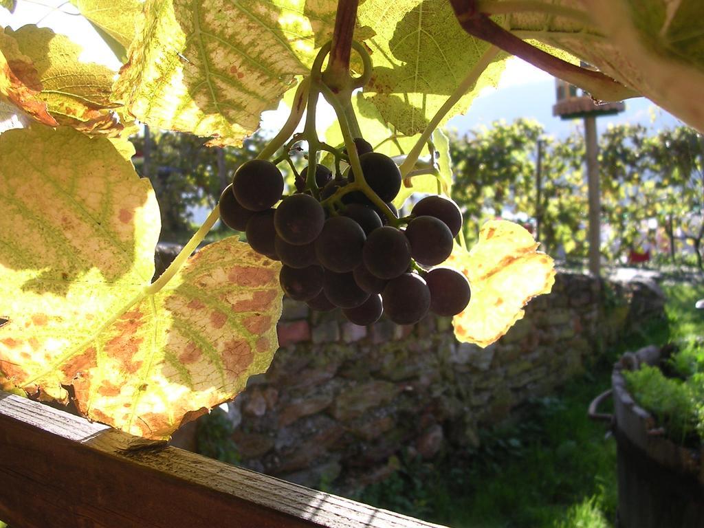 Villa Weingut Rupp Kitzeck im Sausal Exterior foto