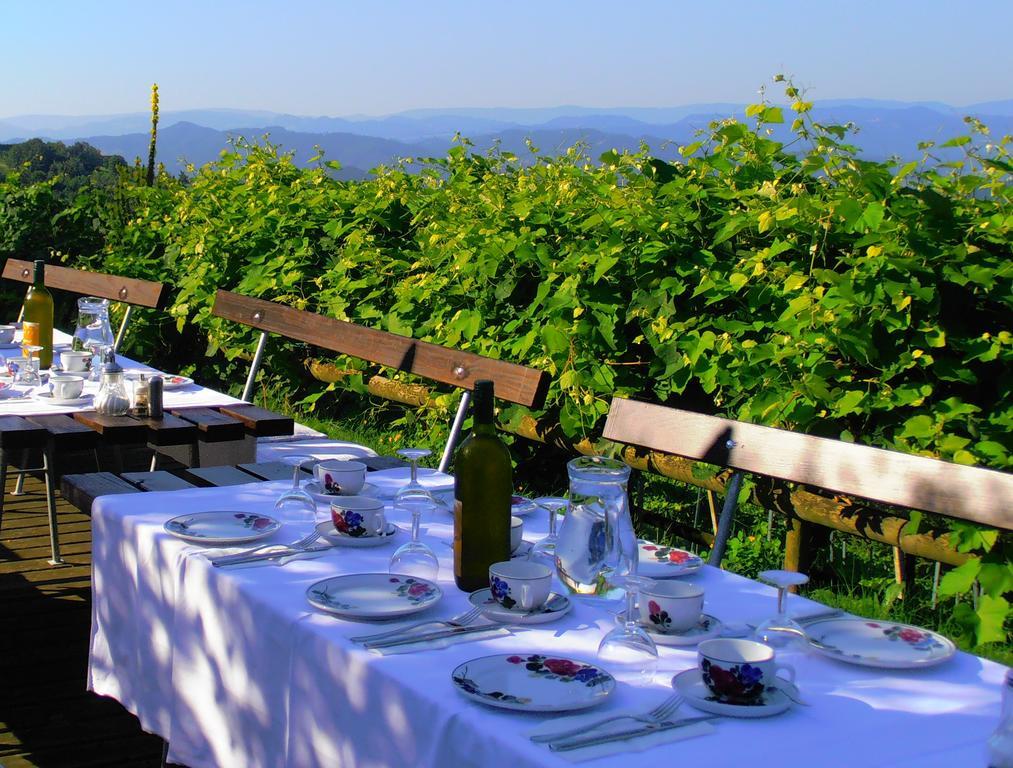 Villa Weingut Rupp Kitzeck im Sausal Exterior foto