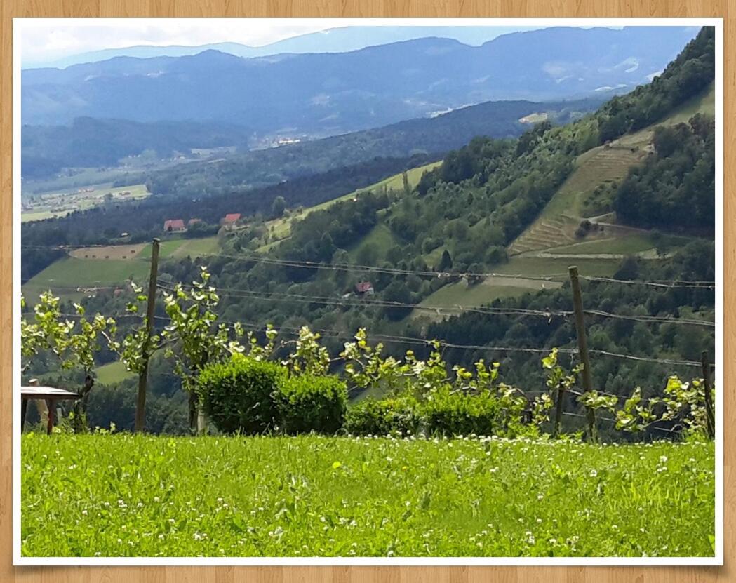 Villa Weingut Rupp Kitzeck im Sausal Exterior foto